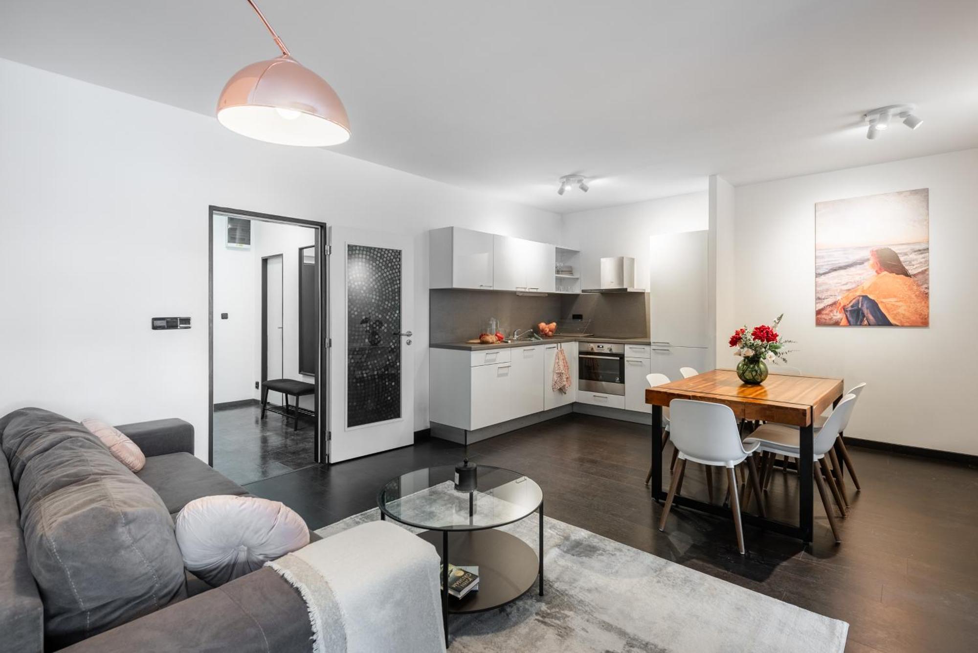 Spacious Apartments Near Karlin Square Prag Exterior foto